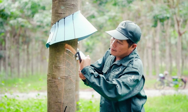 VRG: Khát vọng tăng trưởng hai con số kiến tạo không gian phát triển mới - Ảnh 1