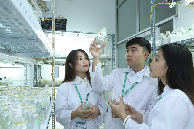 10 thu nhập chịu thuế, 21 thu nhập miễn thuế thu nhập cá nhân từ 1.7 - Ảnh 2