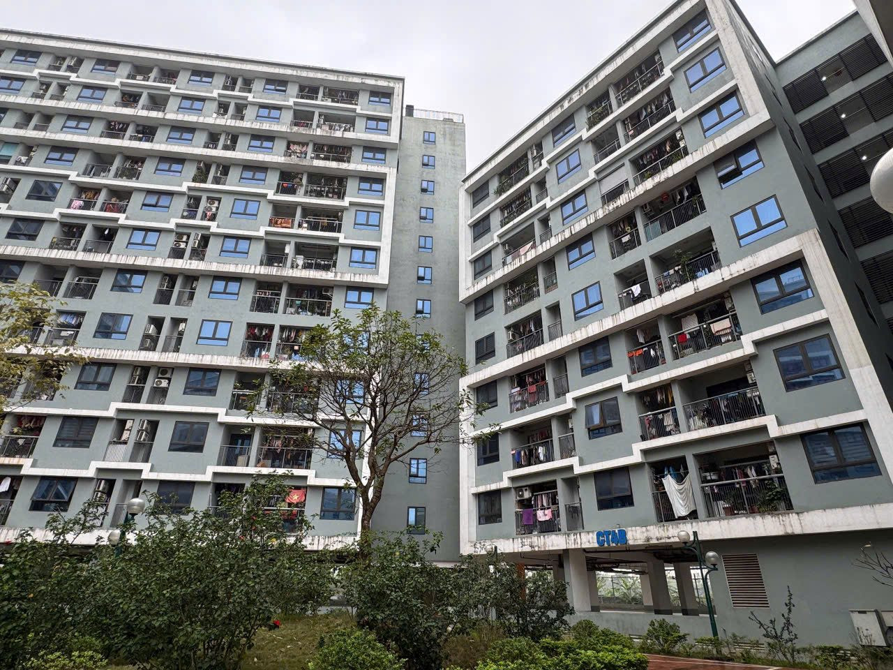 Chưa có bảng lương đủ liên tiếp 12 tháng, có đủ điều kiện hồ sơ mua nhà ở xã hội? - Ảnh 1