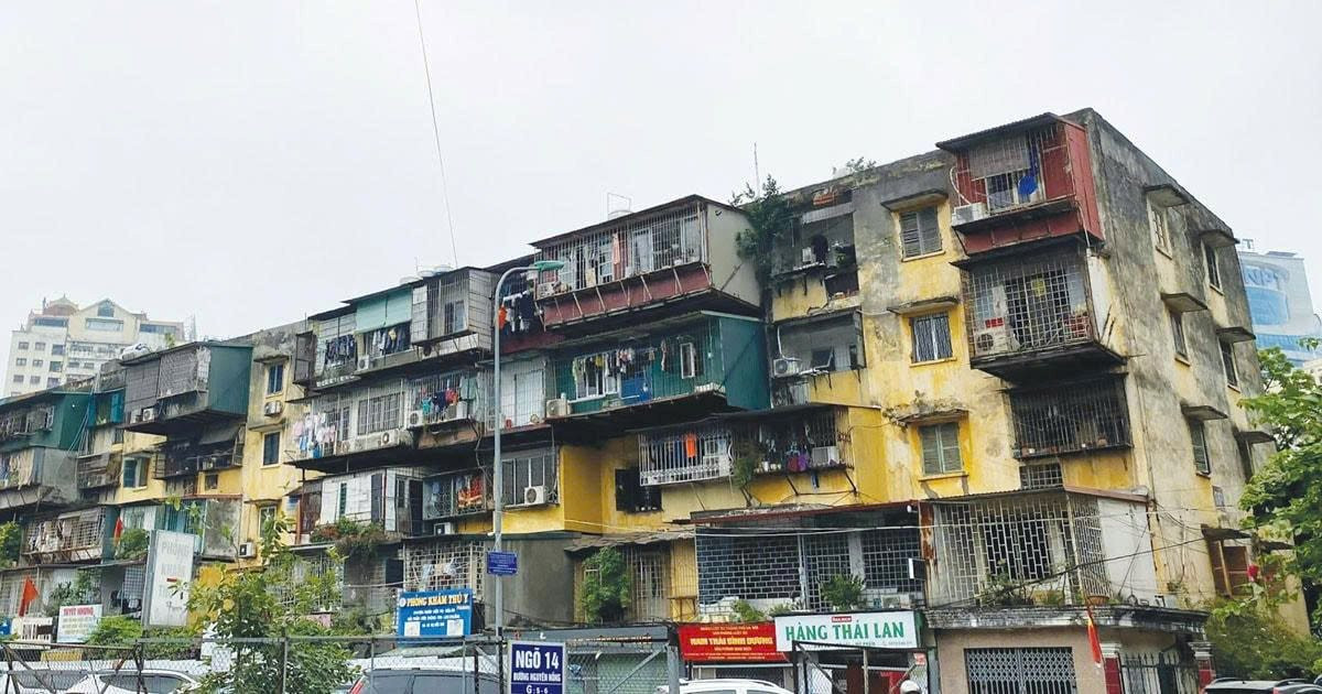 TP. Hồ Chí Minh yêu cầu đẩy nhanh công tác kiểm định, xây dựng lại chung cư cũ - Ảnh 1