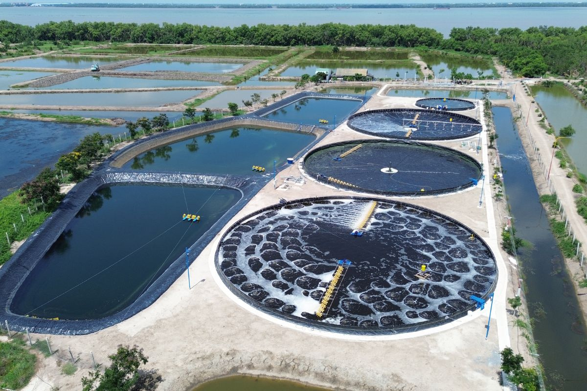 Việt Nam có một "mỏ vàng" dưới nước trị giá tỷ USD: Được làm theo cách chưa từng có - Ảnh 1