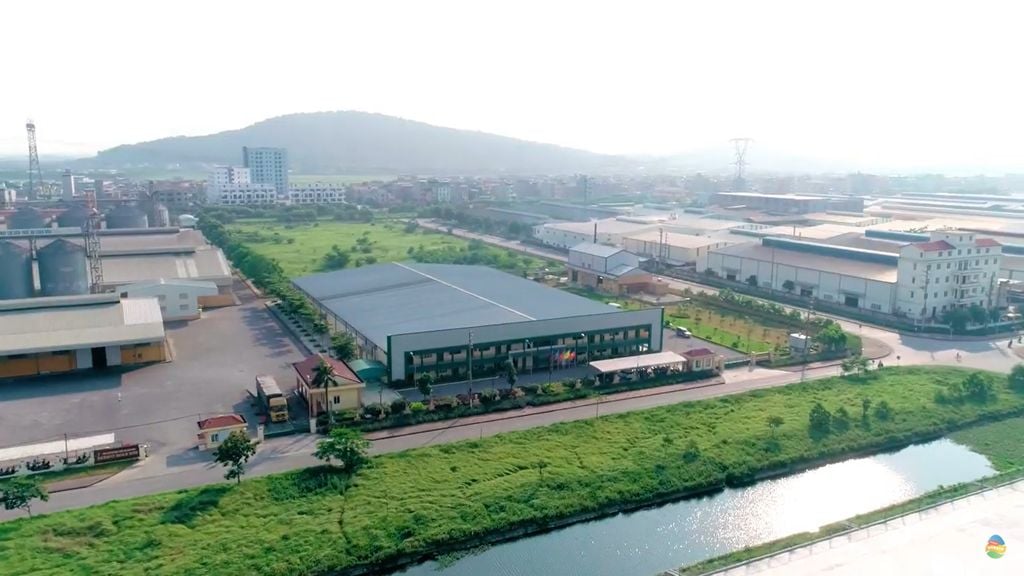Giá lợn hơi giảm kéo lãi ròng quý II/2026 của Dabaco ‘đi lùi’ 43%