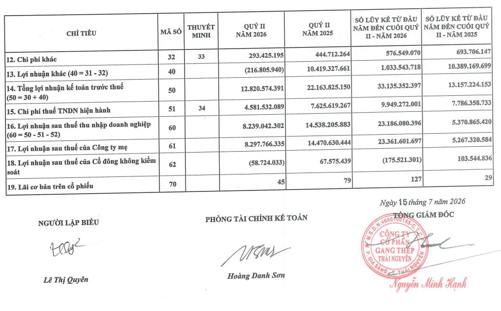 Sản lượng tiêu thụ giảm, lợi nhuận quý II/2026 của Gang thép Thái Nguyên (TIS) mất 43% - Ảnh 1