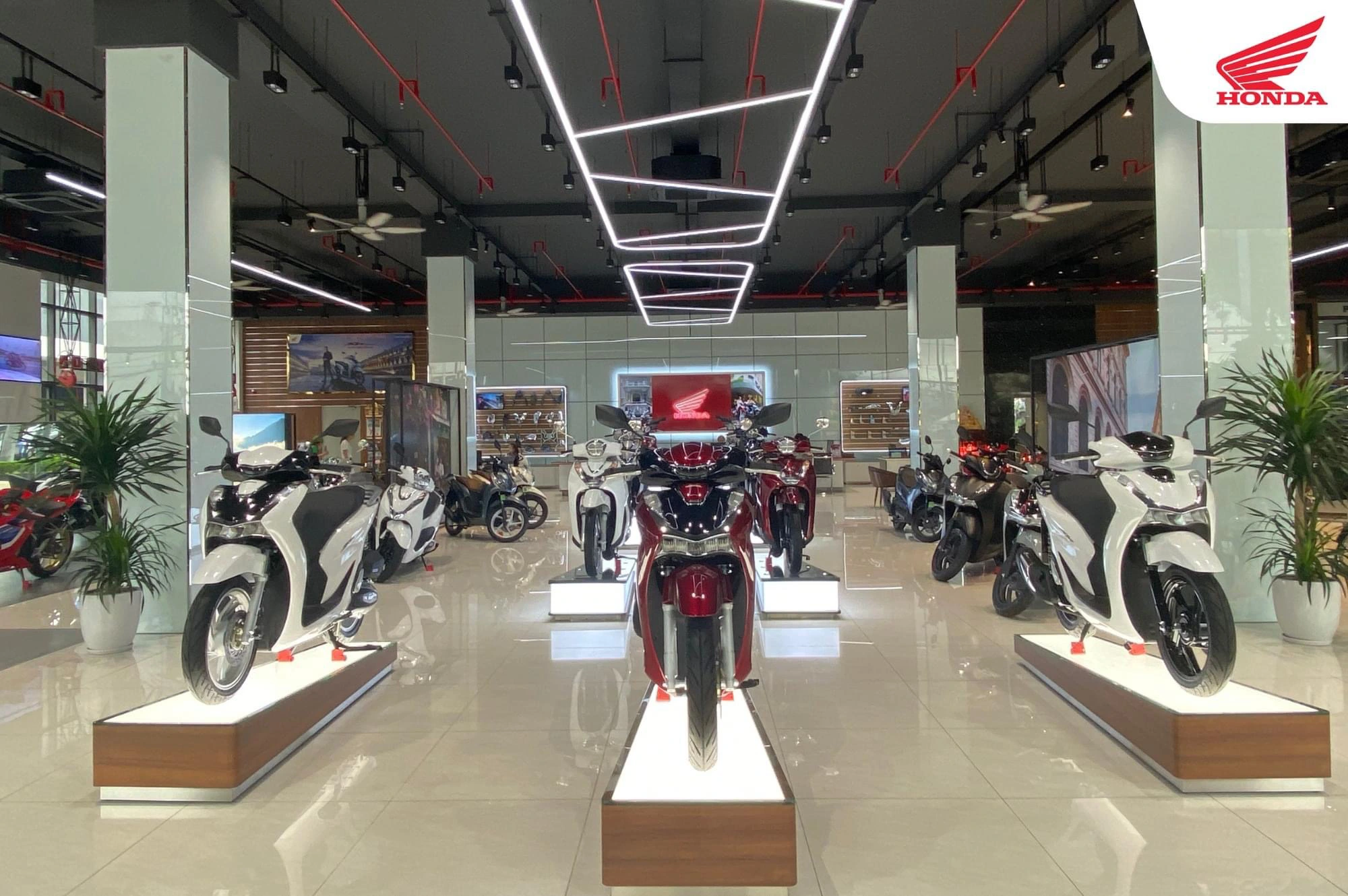 Honda Việt Nam tăng giá bán 17 mẫu xe máy: Từ Wave Alpha đến SH 350i, nguyên nhân đã được dự đoán trước - Ảnh 1