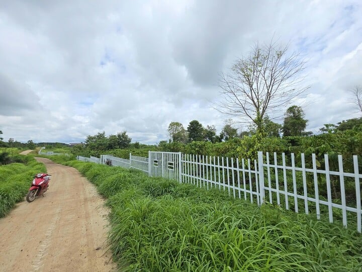 Đắk Lắk xác minh hoạt động môi giới tại khu đất tự xưng 'Làng An Yên 38 hộ dân'