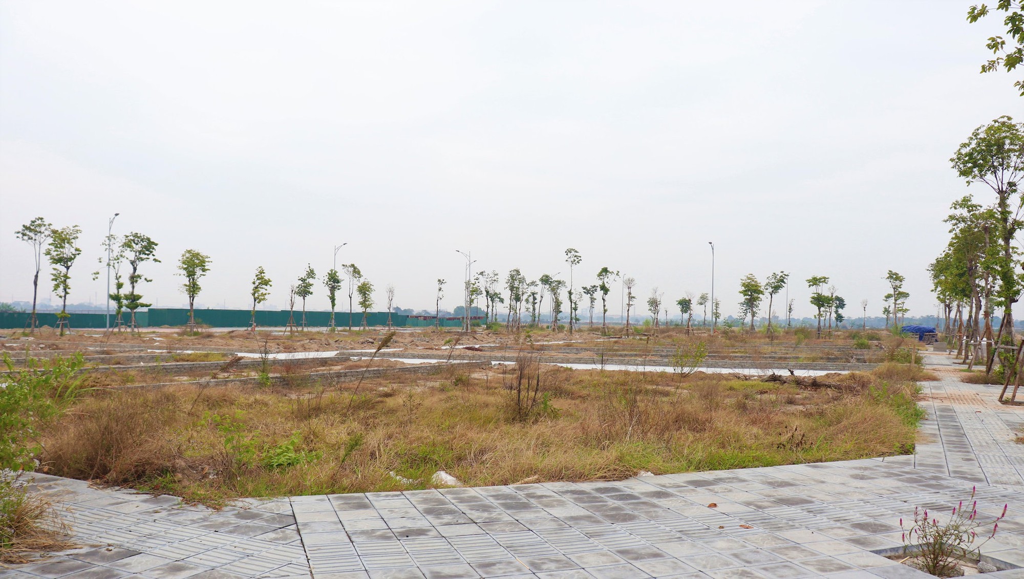 Đấu giá đất đã qua thời kỳ phải mua bằng mọi giá - Ảnh 1