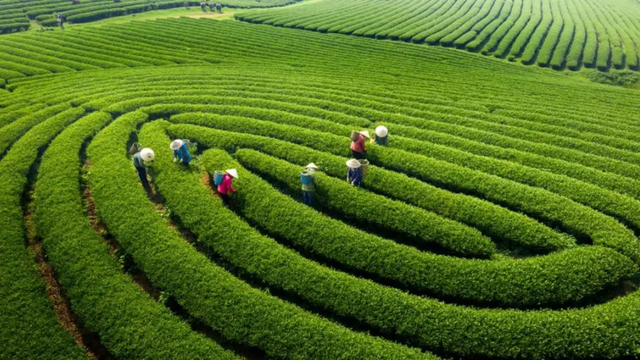 Ai cũng nghĩ là Sa Pa, đây mới là nơi duy nhất 3 lần được vinh danh đẹp nhất thế giới: Cách Hà Nội 180km - Ảnh 1