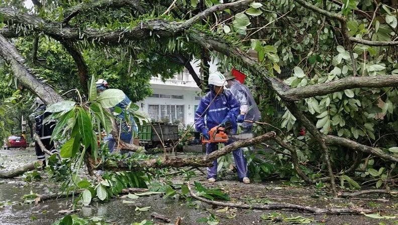 Quảng Ninh thiệt hại khoảng 20 tỷ đồng do bão số 1 - Ảnh 1