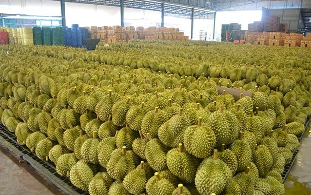 Thái Lan bất ngờ tìm được cứu tinh cho sầu riêng: Doanh số tăng gấp 10 lần chỉ trong 3 tháng, đơn hàng trái cây tăng 134% - Ảnh 1