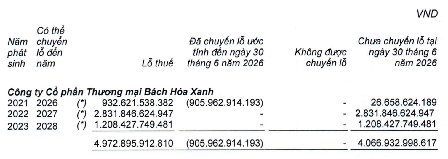 “Cứ mở cửa hàng là lãi”, lợi nhuận Bách Hóa Xanh lập kỷ lục