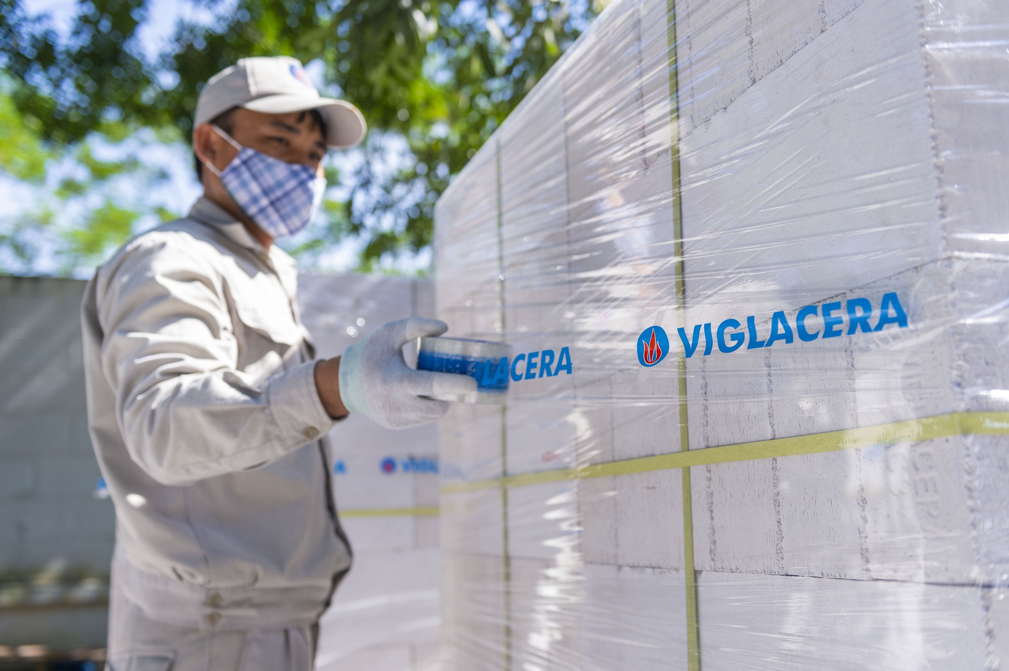 Viglacera chốt ngày trả cổ tức bằng tiền tỷ lệ 22% - Ảnh 1