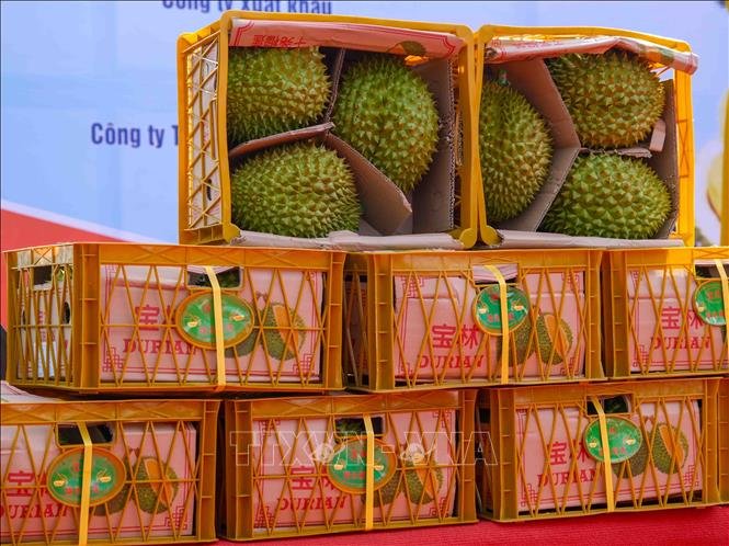 Trung Quốc vừa chi gần nửa tỷ USD mua "báu vật trên cao" của Việt Nam - Ảnh 1