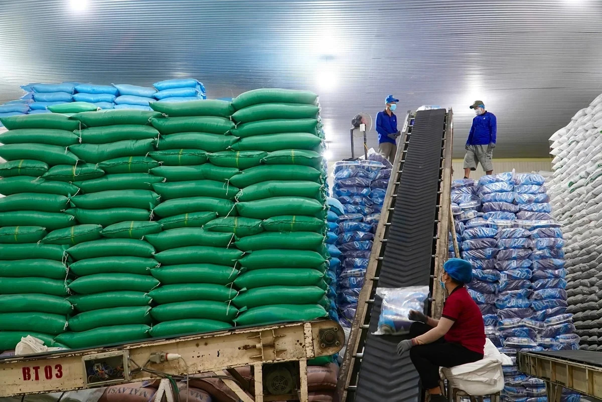 Việt Nam đón tin vui lớn từ Iraq - Ảnh 1
