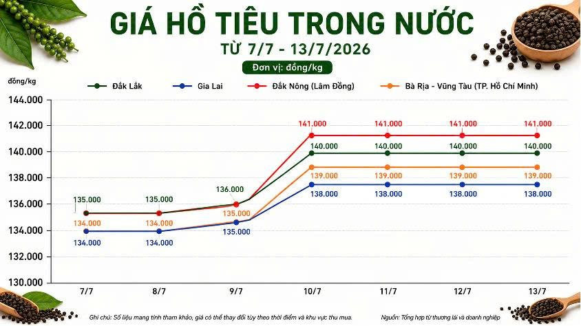 Thị trường hàng hoá 13/7: Giá hồ tiêu tích cực, heo hơi tăng nhẹ - Ảnh 1