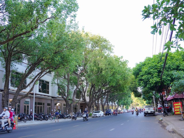 Điều gì giúp tuyến phố thương mại tại lõi huyết mạch Ban Mê sớm thành hình? - Ảnh 1
