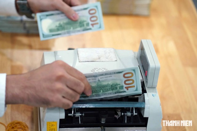 Tỷ giá ổn định bất chấp nhập siêu