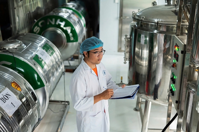 Người 'lên đời' cây dừa nước Việt Nam - Ảnh 1
