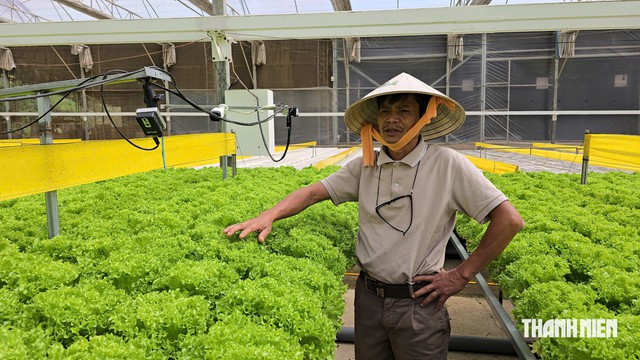 Nông nghiệp thông minh mang lại hiệu quả kinh tế cao - Ảnh 1