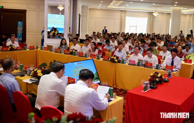 Yến sào Khánh Hòa bị làm giả khắp nơi - Ảnh 1