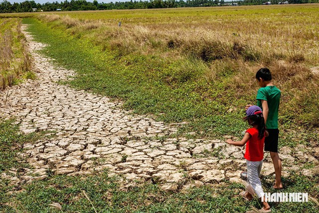 'Siêu El Nino' sắp xuất hiện, ứng phó thế nào? - Ảnh 1
