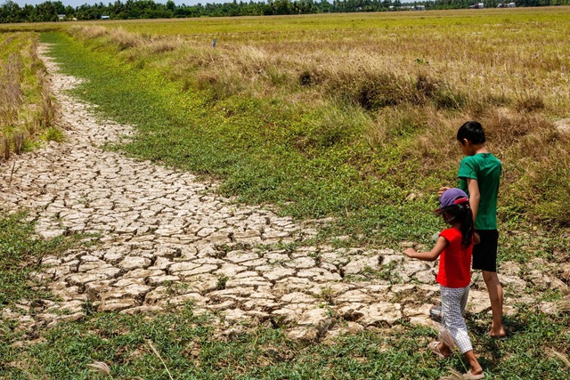 El Nino có thể đạt cường độ mạnh ngay trong tháng 7 - 9 - Ảnh 1