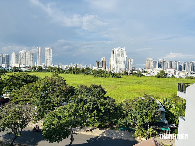 Lại đề xuất áp thuế cao với đất bỏ hoang