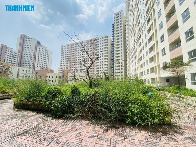 Đề xuất cho TP.HCM được chuyển đổi linh hoạt giữa các loại nhà ở