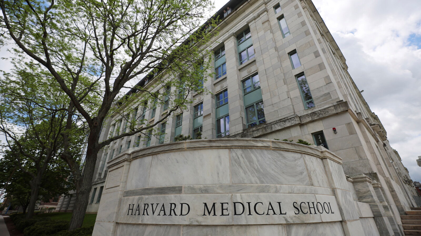 Harvard chi 53 triệu USD để "khép lại" bê bối kéo dài 5 năm: Cựu quản lý nhà xác lấy bộ phận thi thể hiến cho khoa học đem bán
