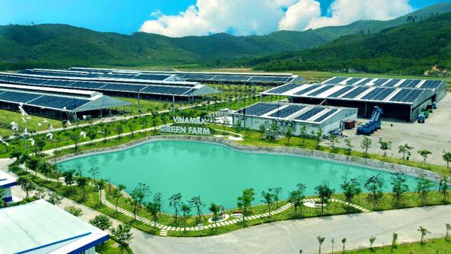 Kinh tế học của niềm tin: Bên trong khối tài sản thương hiệu 2,6 tỷ USD của Vinamilk