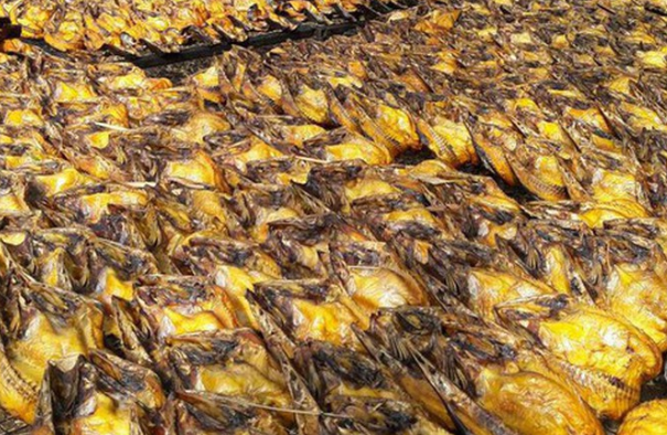 Trung Quốc vừa báo một tin vui đến Việt Nam