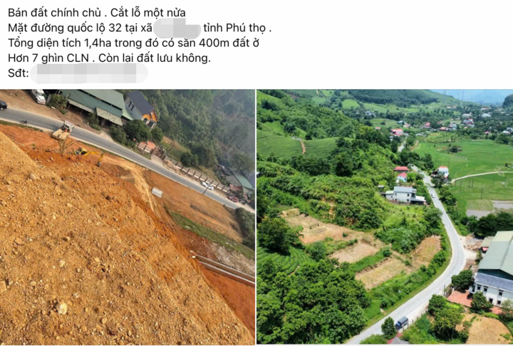 Sau cơn sốt 'bỏ phố về rừng', bất động sản trang trại giảm giá vẫn ế khách mua