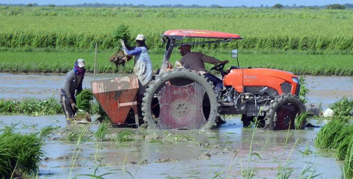 Cuba vừa đón tin cực vui, một doanh nghiệp Việt góp công lớn