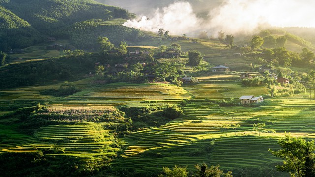 Một ngày ở quần thể nghỉ dưỡng quốc tế Alphora Muong Hoa: Thức giấc giữa rừng nguyên sinh, lắng nghe tiếng suối và ngắm ruộng bậc thang từ hiên nhà