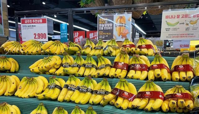 Công ty con của HAGL chốt thời gian IPO 18,8 triệu cổ phiếu