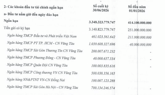 'Cất' hơn 3.140 tỷ đồng trong ngân hàng, doanh thu tài chính đóng góp gần 49% lợi nhuận quý II của DIG