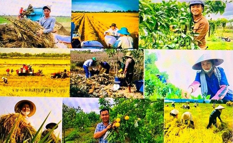 Đề xuất cắt giảm 40 thủ tục, 40 điều kiện kinh doanh trong nông nghiệp