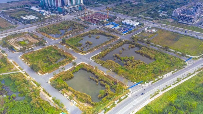 Điểm đặc biệt của lô 'đất vàng' ở Thủ Thiêm sắp được đấu giá