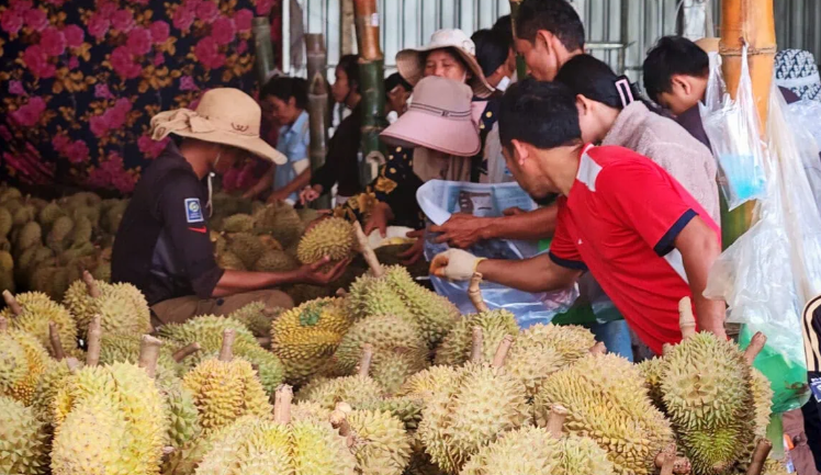 Chưa kịp mừng vì xuất khẩu sang Trung Quốc tăng mạnh, sầu riêng Campuchia lại gặp sóng gió