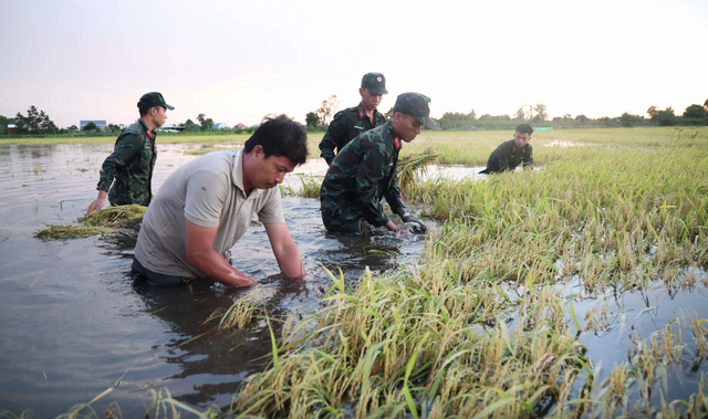 Nước đang về ĐBSCL nhưng lũ vẫn thấp