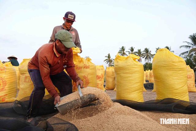 Giá lương thực có sốt bởi 'siêu El Nino'?