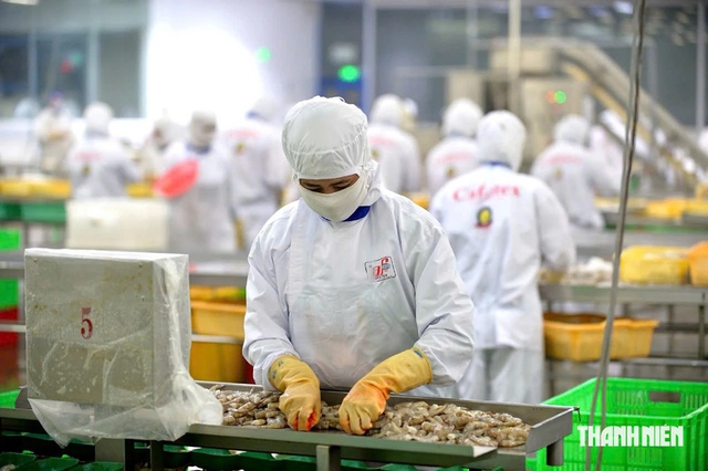 Xuất khẩu sang New Zealand tăng trưởng mạnh