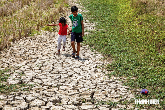 'Siêu El Nino' khiến 107.000 hộ dân ĐBSCL thiếu nước sinh hoạt