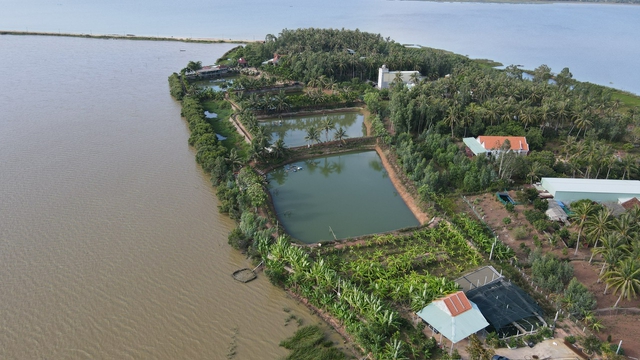 Thu tiền tỉ từ mô hình nuôi cá chình trên đầm Trà Ổ