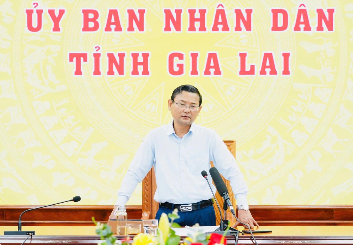 Gia Lai: Đẩy nhanh giải phóng mặt bằng cao tốc Quy Nhơn-Pleiku