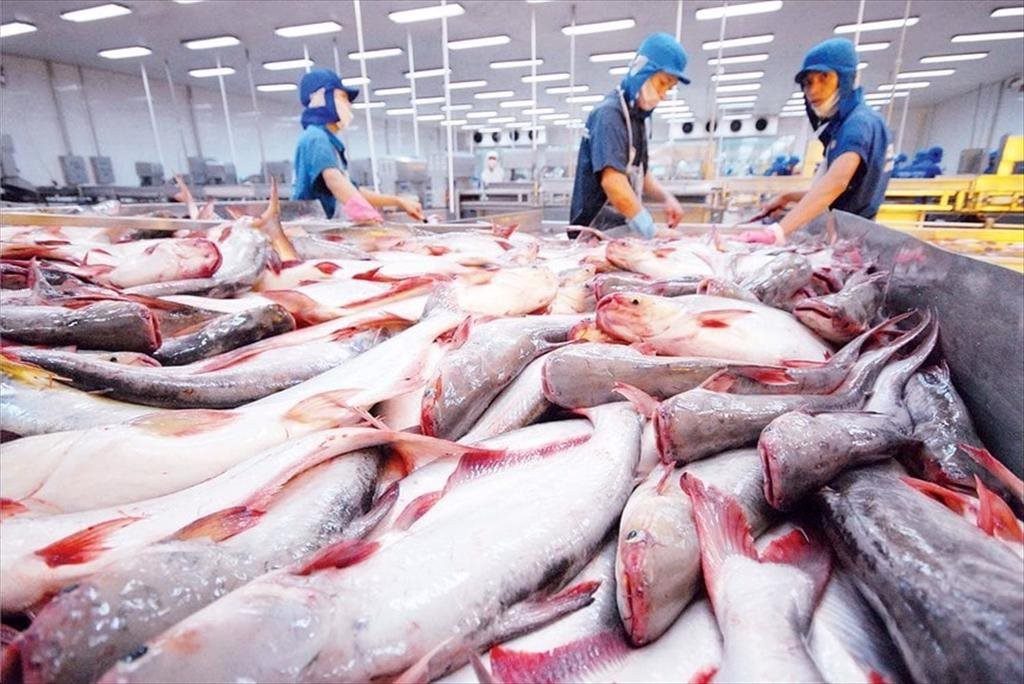 Mặt hàng tỷ đô của Việt Nam gặp ‘cơn bão kép’ tại Mỹ: Xuất khẩu tháng 8 giảm gần 55%, nguy cơ chịu ‘thuế chồng thuế’ - Ảnh 1