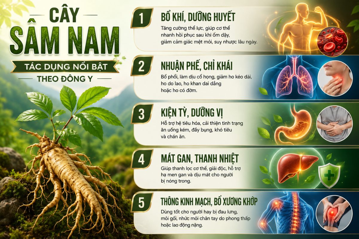Dù bị can ngăn, anh nông dân quyết trồng loại củ ở độ sâu 20cm: 5 năm sau "báu vật tiền tỷ" xuất hiện - Ảnh 1