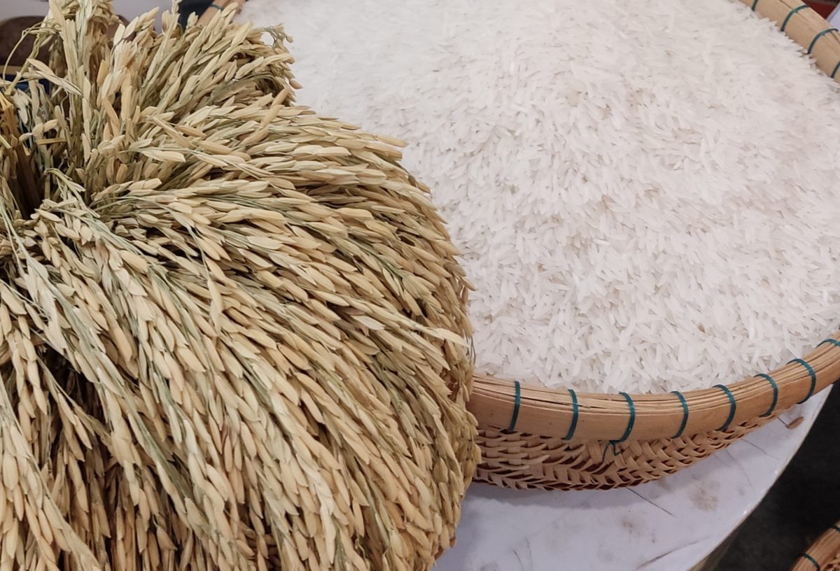 Giá xuất khẩu gạo tăng, nhưng đối thủ của Việt Nam, Thái Lan vẫn chưa thể vui mừng vì một lý do