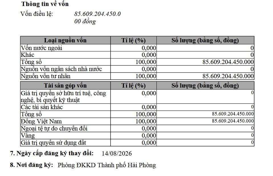 Công ty SX&KD VinFast nắm nhà máy sản xuất đã trở thành công ty thuần Việt, không còn liên quan tới Singapore
