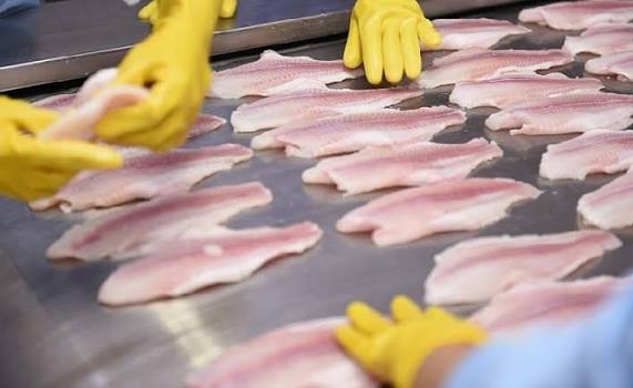 2/3 thế giới 'chốt đơn' sản vật này của Việt Nam, Vương quốc Anh cực ưa chuộng - Ảnh 1
