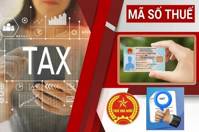 Cơ quan thuế thông báo quan trọng: Người vừa được cấp mã số thuế cần kiểm tra ngay 5 thông tin - Ảnh 1